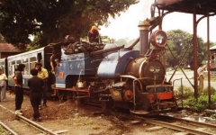 080-Darjeeling-Himalayan-Railway